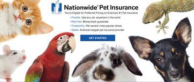Pet Insurance Nationwide Pet Insurance Nationwide